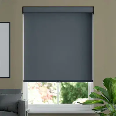 Dev