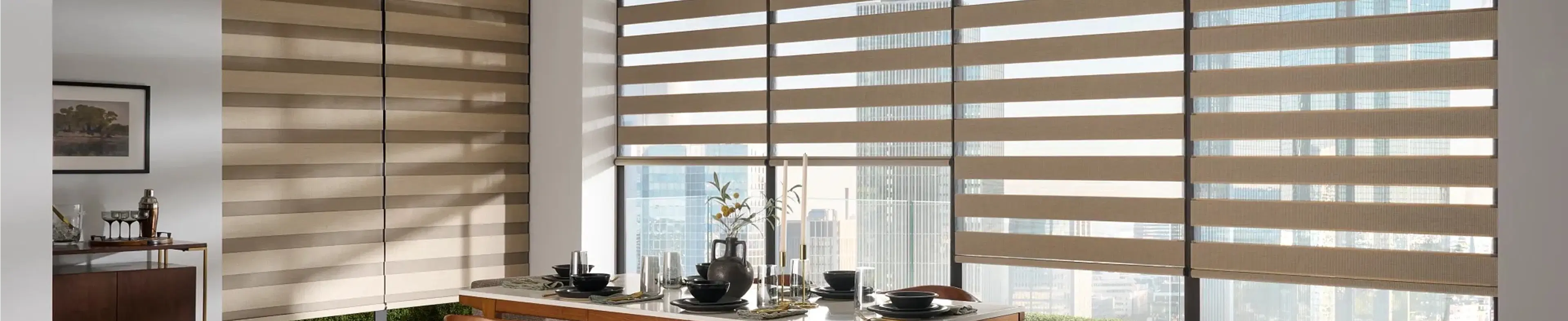Zebra Blinds Banner